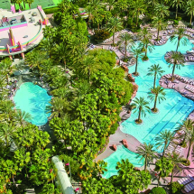 FLV_Go Pool Aerial View